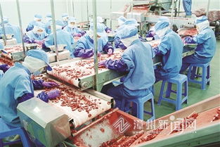 产业接二连三 向农而兴的强村富民之路