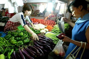 上海农产品生产价格上涨的市场透视与未来展望